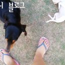 콩순이PC 이미지