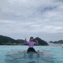 남해-25 | 25년 8월 쏠비치 남해 이용 후기(시위로 인한 불편사항, 근처 맛집 등)