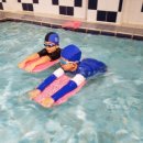 용인대용전태권도 이미지