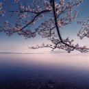 씨앤스카이호텔 이미지