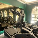 (마지막 가격인하) 부티빌더 브이스쿼트 판매 이미지