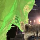 넷돌이 PC방 | 이게 바로 남미새의 품격