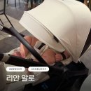 가성비 오토폴딩 절충형유모차 리안 알로 내돈내산 솔직 후기