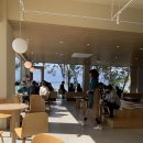 트윈브릿지 이미지