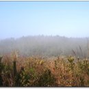 진등3로 이미지