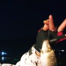 흥왕낚시터 네이버블로그