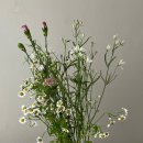 오렌지치과의원 이미지