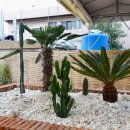 오아시스식당 이미지