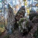 여강길(10-1코스 싸리산길) 이미지