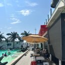 전촌솔밭해수욕장 | 경주 아이랑 감포 수영장 카페 오류고아라해변 뷰델카페