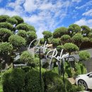 옥류헌릴렉스 이미지