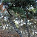 월리사 이구당부도 | 청주 샘봉산 - 용굴 (2019.12.14)