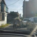 홍성경찰서앞 이미지