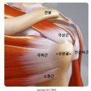 더바른몸PT 이미지