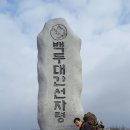 팀 팻보이 이미지