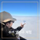성왕로 | 부여 열기구 이색체험 내돈내산 후기 예약 가격 추천