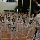 인지 태권도 이미지