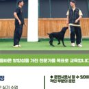 올바른참견 이미지