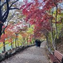 산인어탕칼국수 이미지