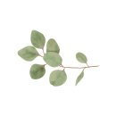 동양온누리약국 이미지