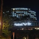 샴푸호텔 이미지