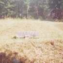 일정로1(남) 이미지