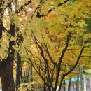 목동동로2길 이미지