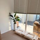 윈썸그루밍 이미지