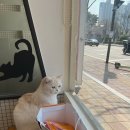 기린동물병원 이미지