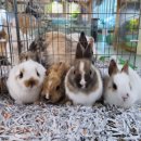 북부시립경로당 이미지