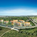 펠리시티2차 이미지