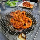 부산꼼장어