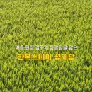 성혜당