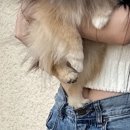 스테이더담 구미무을점 이미지