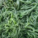 홍조바다 이미지