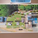 초리포레스트 이미지