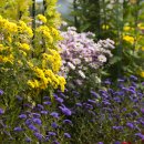 구청 남측광장 이미지