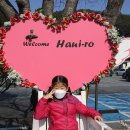 봉하마을 공영주차장 이미지