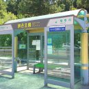 한라산둘레길 사려니숲길 이미지