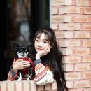 스타펫 이미지