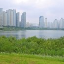 봄바람과 함께 떠나는 5월 추천 여행지 4곳 이미지