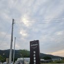강아지와 여행을 하고싶다면? 애완견 동반 글램핑 - 충주 잭슨글램핑 후기