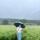 비에프짐(BFGYM) | 아니 근데 진짜 너 예쁘다니까 새벽을 깨우는 환한 햇살 같아☀