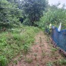 광천농장 2 이미지