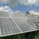 꿩먹고알먹고 이미지