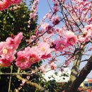 아름다운사람들 이미지