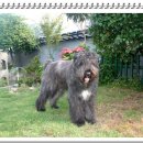 프란다스동물병원 이미지