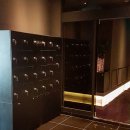 비올레테라피