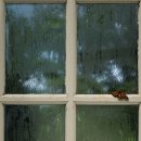 큐플린트 이미지