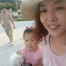 백호총본관 네이버블로그